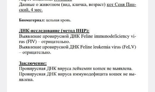 G zUFHrWEAE4ADF?format=jpg.jpg