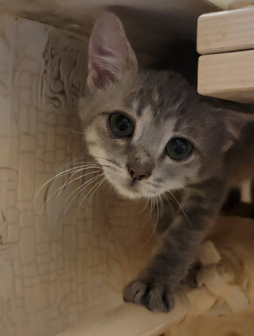 G zUFIlWQAAlx1S?format=jpg.jpg