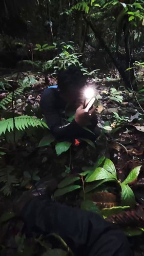 yJaOr 6R2F1t2Kwr.jpg