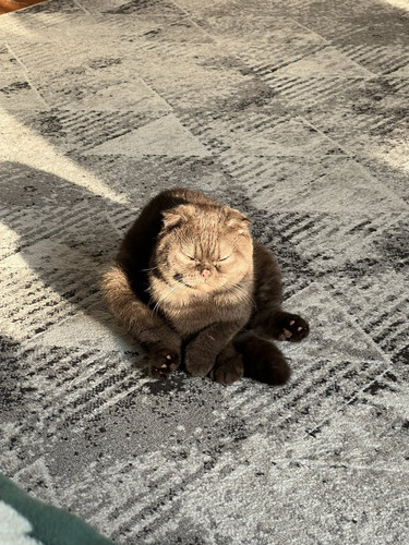 G xEVtDbQAIT1a4?format=jpg.jpg