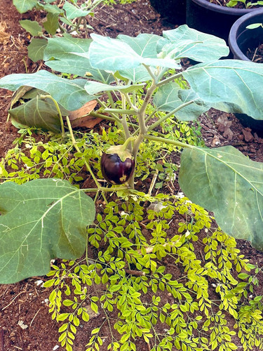 G wl6ERboAAoH50?format=jpg.jpg