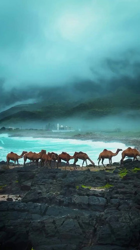 4O JpnQ7rOuK2oBE.jpg