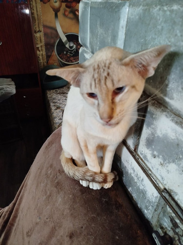 G zEazBXsAATr X?format=jpg.jpg