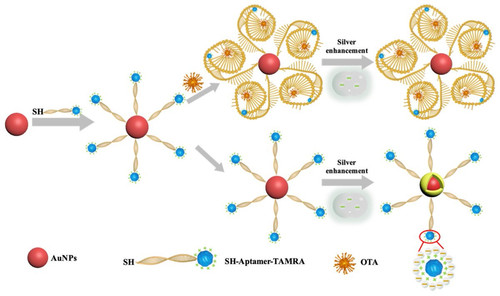 G rB5jybQAA4u9d?format=jpg.jpg