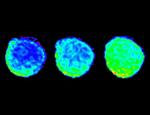 G y JL8asAATME ?format=jpg.jpg