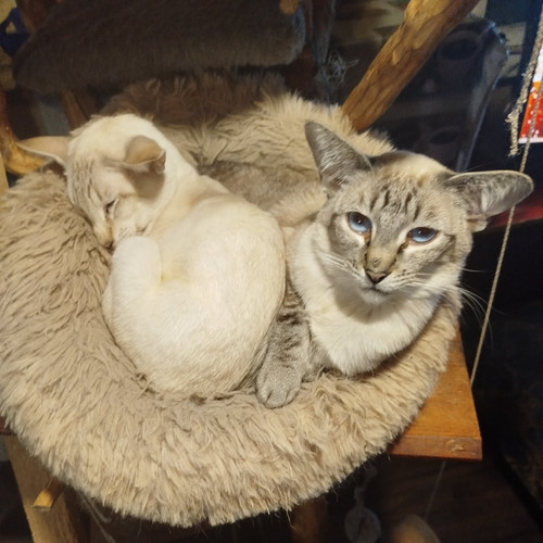 G zE812WYAAY aH?format=jpg.jpg