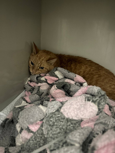 G w1kN bQAIYcvo?format=jpg.jpg