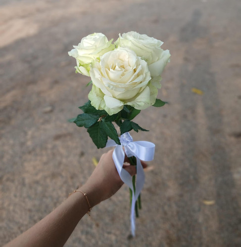 WhatsApp Image 2026 01 04 at 12.40.15.jpg