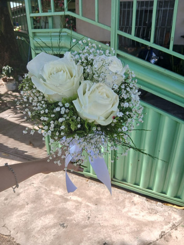 WhatsApp Image 2026 01 04 at 12.20.48.jpg