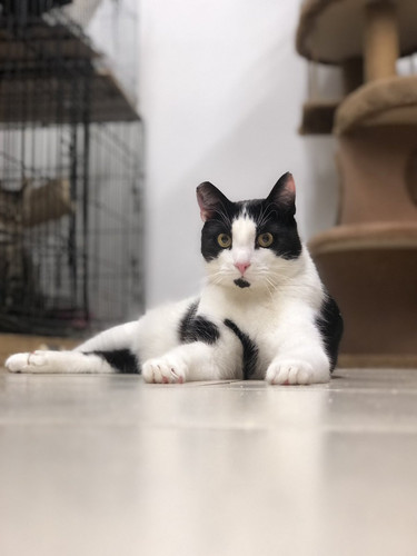 G y6HhRaoAAjKET?format=jpg.jpg