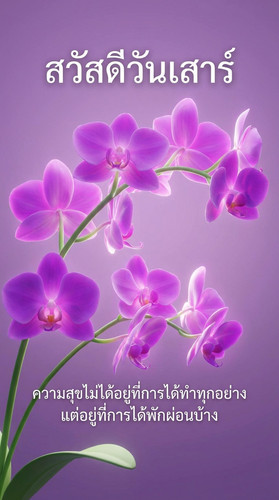 uc?id=1Qx3992WZnL9YyUOwY2wQW1ZVH3u SeB&export=download.jpg