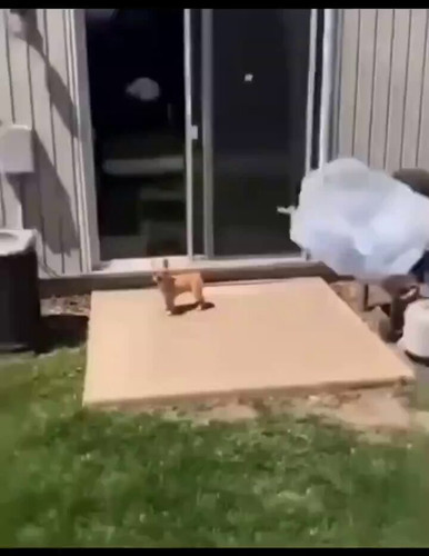 3 2m5rDM YDEKVaG.jpg