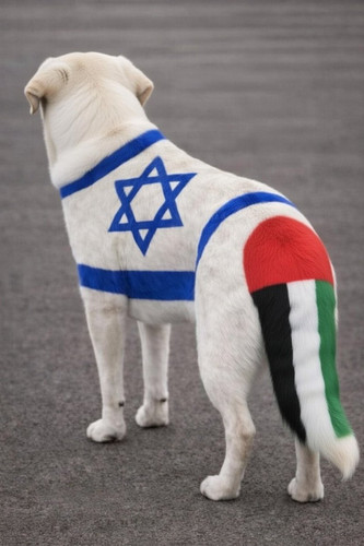 G 0j0JaX0AEeaLr?format=jpg.jpg