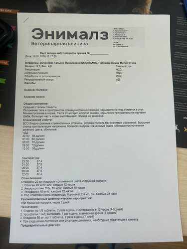 G yPELna4AA3wEq?format=jpg.jpg