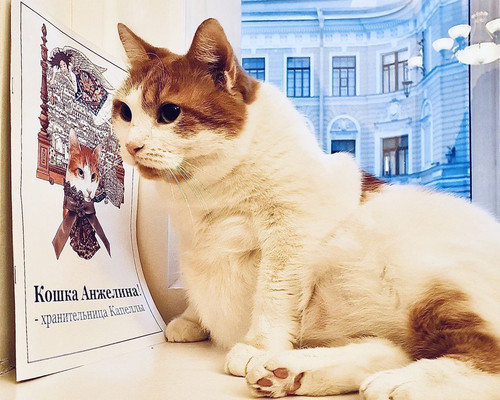 G ybdphbYAENyGJ?format=jpg.jpg