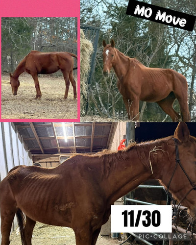 G zAMlVakAA8 hc?format=jpg.jpg