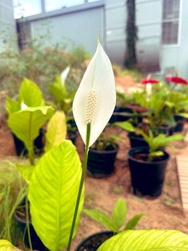 G xfF76aQAAcZ71?format=jpg.jpg