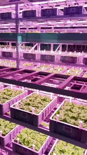 NnL7Vr68lh 1XXKN.jpg