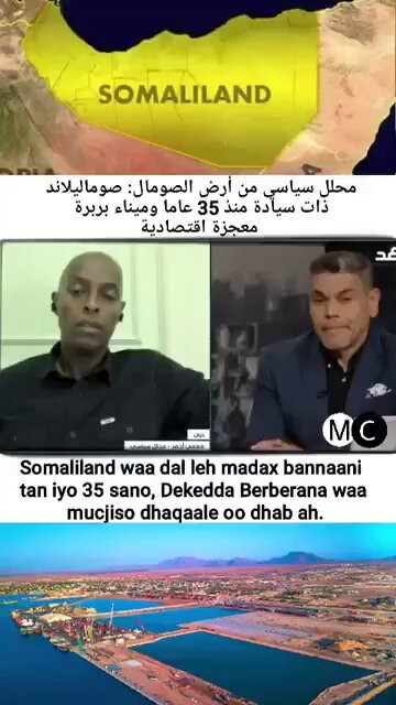 mOUB0x 02qKFCdZT.jpg