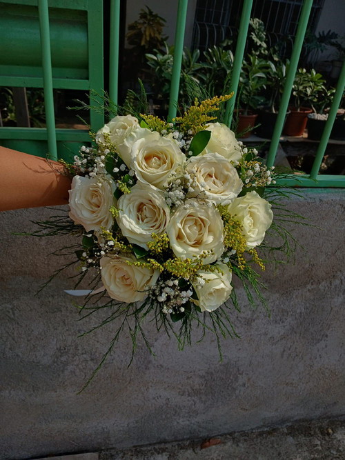 WhatsApp Image 2026 01 05 at 11.50.20.jpg