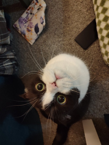 G z t3W0AAhe1D?format=jpg.jpg