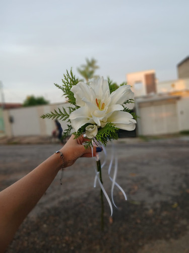 WhatsApp Image 2026 01 04 at 12.32.45.jpg