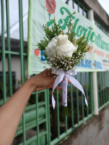 WhatsApp Image 2026 01 04 at 12.25.14 (1).jpg