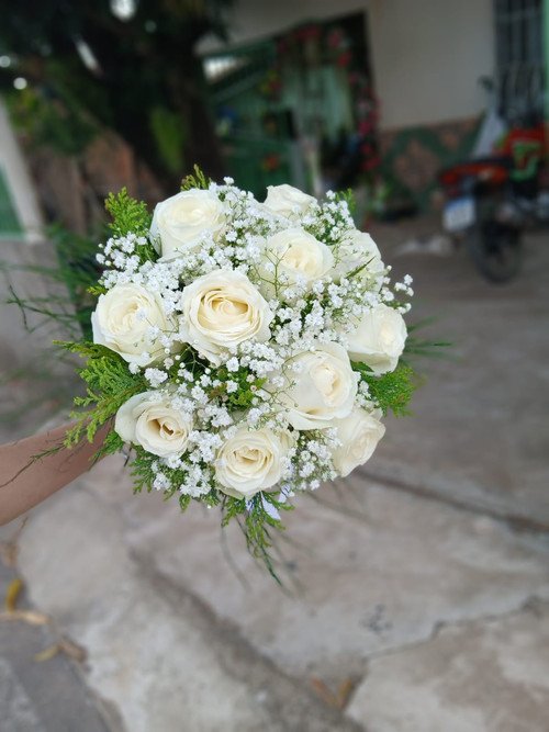 WhatsApp Image 2026 01 05 at 11.50.19.jpg