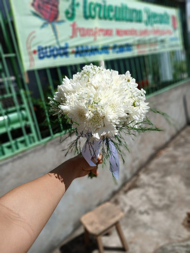 WhatsApp Image 2026 01 04 at 12.15.57 (1).jpg