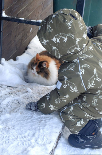 G yzlLwa4AAg7vn?format=jpg.jpg