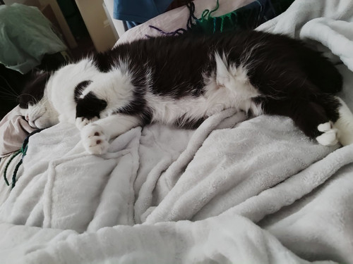 G xz6LcXEAAdOnx?format=jpg.jpg