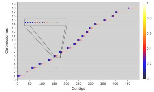 G 3XmOeXMAEhU t?format=jpg.jpg