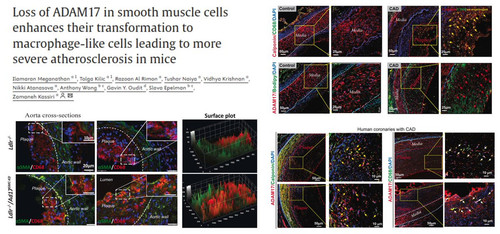G 8ycuuWQAAIDf ?format=jpg.jpg
