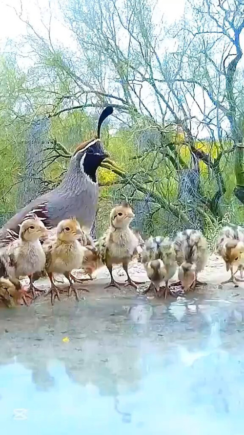 u9c LM6PqwiNOeCH.jpg