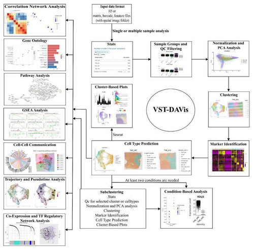 G 4ZwfgXIAMafmA?format=jpg.jpg