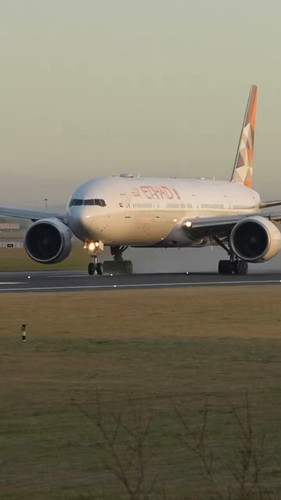 mSxOPAkbBGzW6XF .jpg