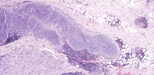 G 496LtWcAE1NuC?format=jpg.jpg