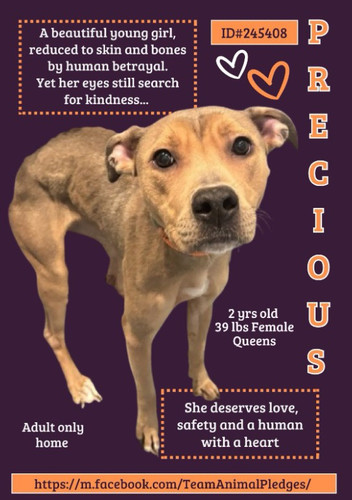 G ptKo9XgAA6 KD?format=jpg.jpg