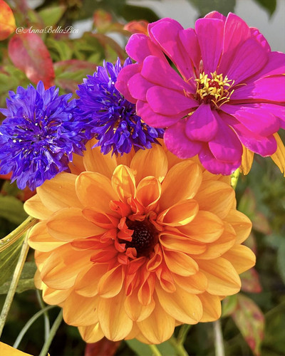 G yOfYvbwAExWtb?format=jpg.jpg