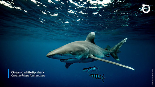 G 34yk3XUAE27Lz?format=jpg.jpg