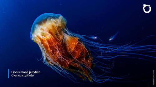 G 34zyoWAAA3b9y?format=jpg.jpg