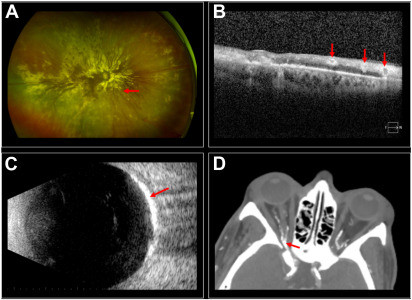 G yQbvWbIAAM8ac?format=jpg.jpg