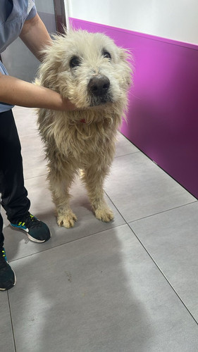 G zaulWXEAEfdpg?format=jpg.jpg