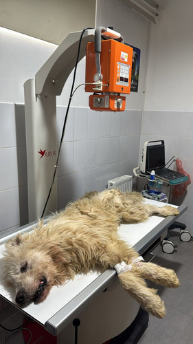 G zaulNWQAAW4yX?format=jpg.jpg