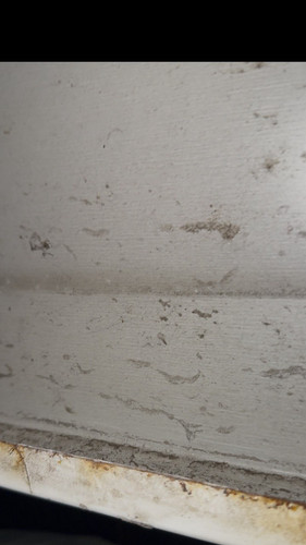 photo 2026 01 17 22 14 35.jpg