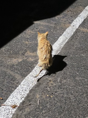 G 1ZkQrW0AAxxt0?format=jpg.jpg