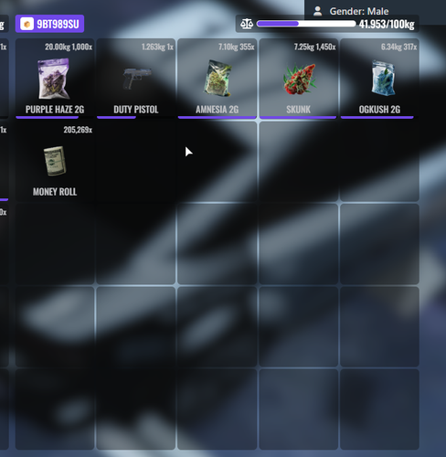 FiveM GTAProcess 80VE4N5BlE.png