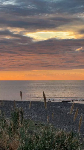 ZKUOeKv ud7QNVGL.jpg