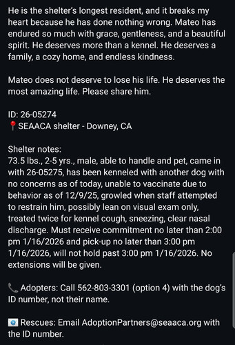 G zxw8MWwAE49qm?format=jpg.jpg