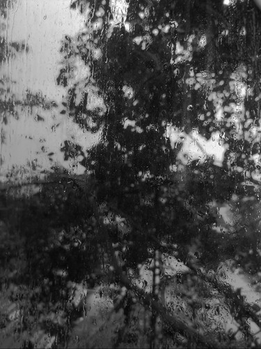 IMG 3999.jpg